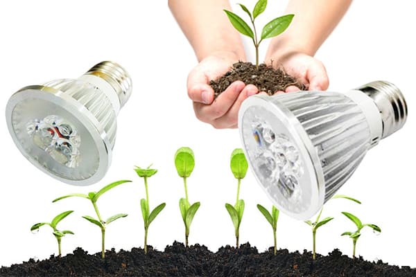 Toimiiko LED kasvivalo? Verkkokauppa e ville com blog Toimiiko LED kasvivalo? Verkkokauppa e ville com blog